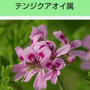 ヒメ日記 2025/05/29 20:23 投稿 工藤　藍 セレブショップ新宿（東京ハレ系）