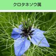 ヒメ日記 2025/05/30 08:14 投稿 工藤　藍 セレブショップ新宿（東京ハレ系）