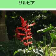 ヒメ日記 2025/06/02 08:14 投稿 工藤　藍 セレブショップ新宿（東京ハレ系）