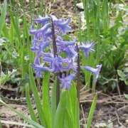 ヒメ日記 2025/06/04 08:14 投稿 工藤　藍 セレブショップ新宿（東京ハレ系）