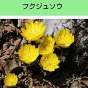 ヒメ日記 2025/06/05 20:02 投稿 工藤　藍 セレブショップ新宿（東京ハレ系）