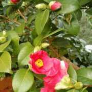 ヒメ日記 2025/06/08 19:43 投稿 工藤　藍 セレブショップ新宿（東京ハレ系）