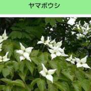 ヒメ日記 2025/06/12 21:02 投稿 工藤　藍 セレブショップ新宿（東京ハレ系）