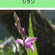 ヒメ日記 2025/06/15 21:40 投稿 工藤　藍 セレブショップ新宿（東京ハレ系）