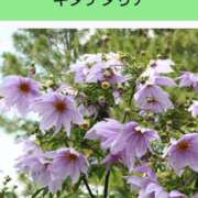 ヒメ日記 2025/06/16 08:14 投稿 工藤　藍 セレブショップ新宿（東京ハレ系）