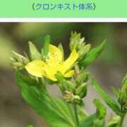 ヒメ日記 2025/07/03 20:06 投稿 工藤　藍 セレブショップ新宿（東京ハレ系）