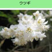 ヒメ日記 2025/07/04 08:15 投稿 工藤　藍 セレブショップ新宿（東京ハレ系）