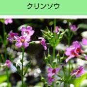 ヒメ日記 2025/07/06 21:19 投稿 工藤　藍 セレブショップ新宿（東京ハレ系）