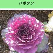 ヒメ日記 2025/07/10 20:50 投稿 工藤　藍 セレブショップ新宿（東京ハレ系）