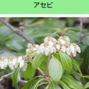 ヒメ日記 2025/07/11 08:15 投稿 工藤　藍 セレブショップ新宿（東京ハレ系）