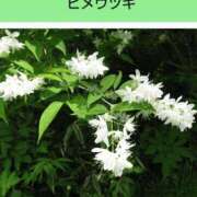 ヒメ日記 2025/07/13 17:20 投稿 工藤　藍 セレブショップ新宿（東京ハレ系）