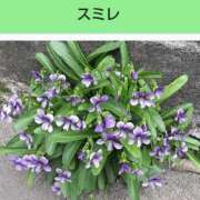 ヒメ日記 2025/07/14 08:17 投稿 工藤　藍 セレブショップ新宿（東京ハレ系）