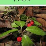 ヒメ日記 2025/07/15 19:41 投稿 工藤　藍 セレブショップ新宿（東京ハレ系）
