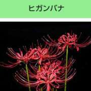 ヒメ日記 2025/07/22 20:10 投稿 工藤　藍 セレブショップ新宿（東京ハレ系）