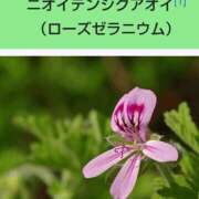 ヒメ日記 2025/07/23 08:14 投稿 工藤　藍 セレブショップ新宿（東京ハレ系）