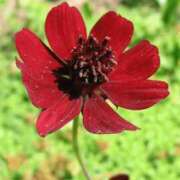 ヒメ日記 2025/07/24 18:52 投稿 工藤　藍 セレブショップ新宿（東京ハレ系）