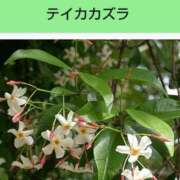 ヒメ日記 2025/08/05 21:12 投稿 工藤　藍 セレブショップ新宿（東京ハレ系）