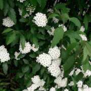 ヒメ日記 2025/08/07 20:38 投稿 工藤　藍 セレブショップ新宿（東京ハレ系）