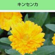 ヒメ日記 2025/08/08 08:17 投稿 工藤　藍 セレブショップ新宿（東京ハレ系）