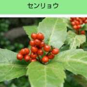 ヒメ日記 2025/08/31 20:20 投稿 工藤　藍 セレブショップ新宿（東京ハレ系）