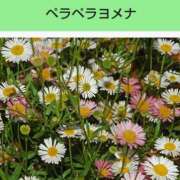 ヒメ日記 2025/09/01 08:13 投稿 工藤　藍 セレブショップ新宿（東京ハレ系）