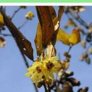 ヒメ日記 2025/09/05 08:15 投稿 工藤　藍 セレブショップ新宿（東京ハレ系）