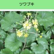 ヒメ日記 2025/09/07 20:26 投稿 工藤　藍 セレブショップ新宿（東京ハレ系）