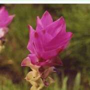 ヒメ日記 2025/09/18 20:46 投稿 工藤　藍 セレブショップ新宿（東京ハレ系）