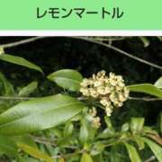 ヒメ日記 2025/09/22 08:15 投稿 工藤　藍 セレブショップ新宿（東京ハレ系）
