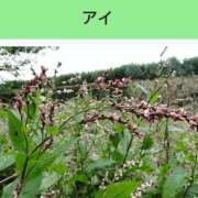 ヒメ日記 2025/09/23 21:36 投稿 工藤　藍 セレブショップ新宿（東京ハレ系）