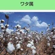 ヒメ日記 2025/09/25 20:49 投稿 工藤　藍 セレブショップ新宿（東京ハレ系）