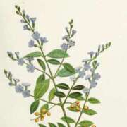 ヒメ日記 2025/10/05 19:48 投稿 工藤　藍 セレブショップ新宿（東京ハレ系）