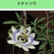 ヒメ日記 2025/10/06 08:17 投稿 工藤　藍 セレブショップ新宿（東京ハレ系）