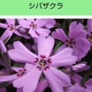 ヒメ日記 2025/10/16 19:40 投稿 工藤　藍 セレブショップ新宿（東京ハレ系）