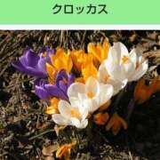 ヒメ日記 2025/10/17 08:19 投稿 工藤　藍 セレブショップ新宿（東京ハレ系）