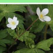 ヒメ日記 2025/10/19 20:34 投稿 工藤　藍 セレブショップ新宿（東京ハレ系）