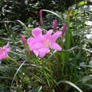 ヒメ日記 2025/10/20 08:17 投稿 工藤　藍 セレブショップ新宿（東京ハレ系）