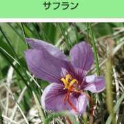 ヒメ日記 2025/10/23 20:40 投稿 工藤　藍 セレブショップ新宿（東京ハレ系）