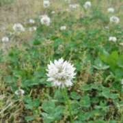 ヒメ日記 2025/10/27 08:13 投稿 工藤　藍 セレブショップ新宿（東京ハレ系）