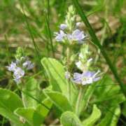 ヒメ日記 2025/11/07 08:19 投稿 工藤　藍 セレブショップ新宿（東京ハレ系）