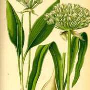 ヒメ日記 2025/11/09 17:34 投稿 工藤　藍 セレブショップ新宿（東京ハレ系）