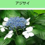 ヒメ日記 2025/11/13 19:43 投稿 工藤　藍 セレブショップ新宿（東京ハレ系）