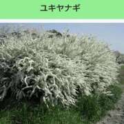 ヒメ日記 2025/11/14 08:17 投稿 工藤　藍 セレブショップ新宿（東京ハレ系）