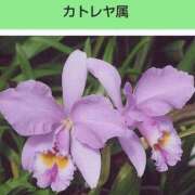 工藤　藍 [お題]from:columbooさん セレブショップ新宿（東京ハレ系）