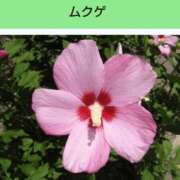 工藤　藍 [お題]from:西園寺さん セレブショップ新宿（東京ハレ系）