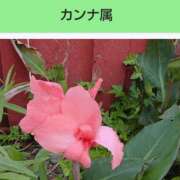 工藤　藍 [お題]from:次郎さん セレブショップ新宿（東京ハレ系）