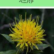 ヒメ日記 2025/12/14 20:34 投稿 工藤　藍 セレブショップ新宿（東京ハレ系）