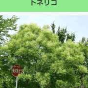 ヒメ日記 2025/12/29 08:17 投稿 工藤　藍 セレブショップ新宿（東京ハレ系）