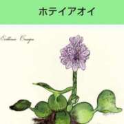 ヒメ日記 2026/01/05 08:12 投稿 工藤　藍 セレブショップ新宿（東京ハレ系）