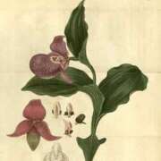 ヒメ日記 2026/01/09 08:14 投稿 工藤　藍 セレブショップ新宿（東京ハレ系）